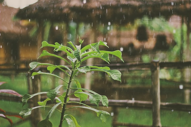 良縁を引き寄せるための雨の日の過ごし方