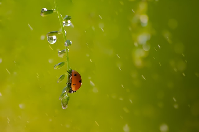 雨の日にやらない方がいい2つのこと